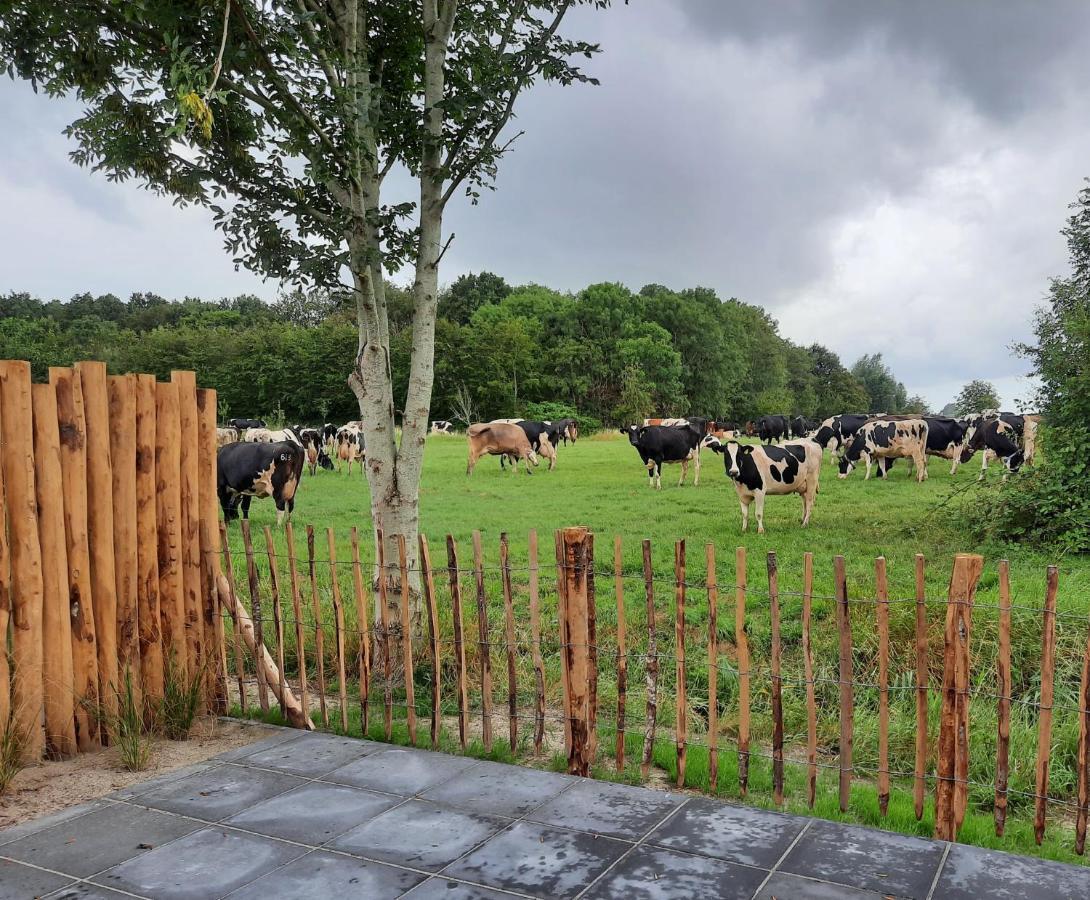 Guesthouse Scherp Middelburg Eksteriør billede
